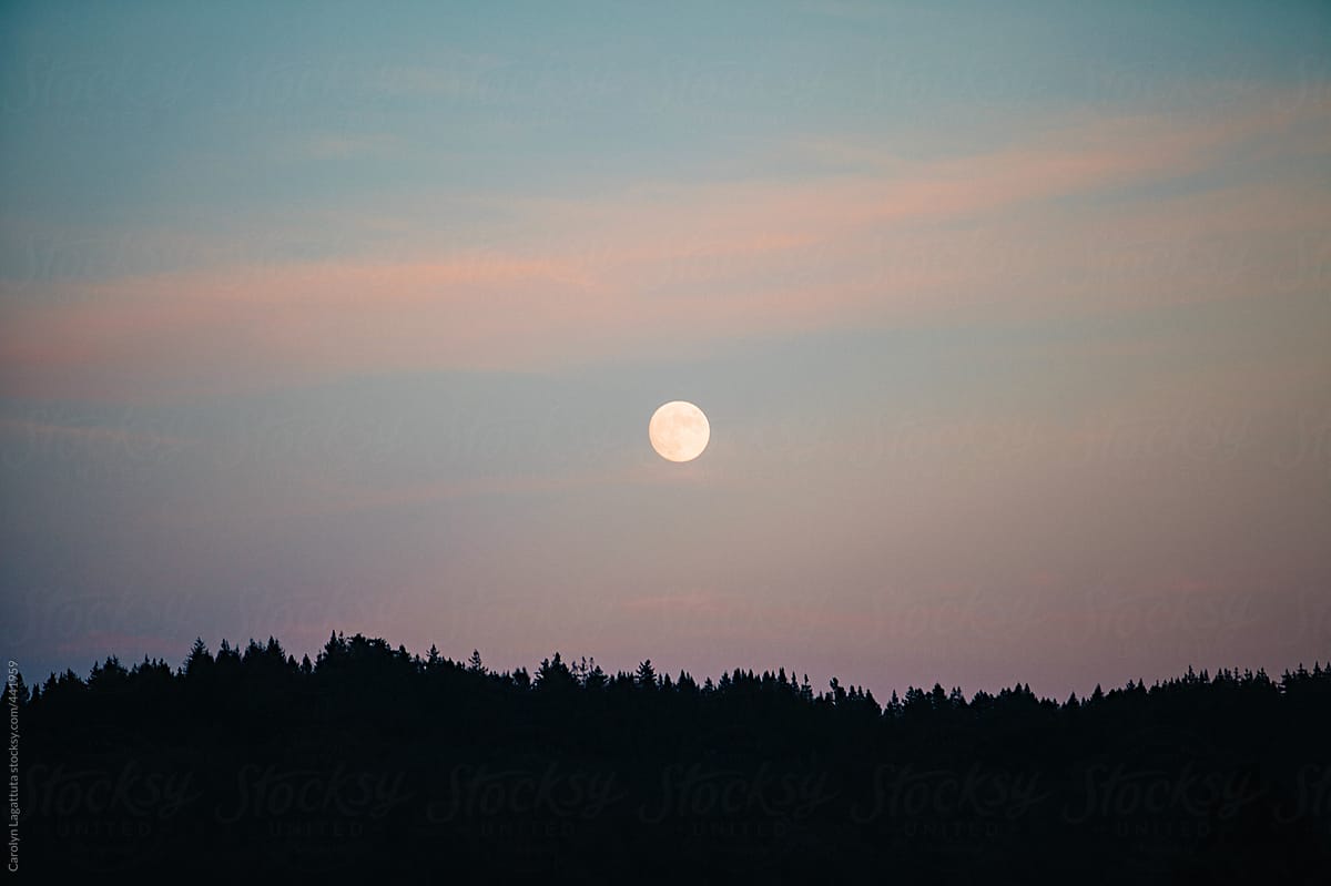 Full moon rising over a mountain of trees