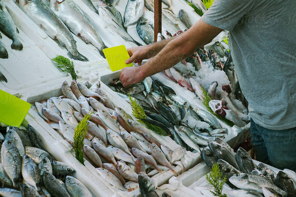 Fishmonger puts new price tag on fresh saltwater fish counter