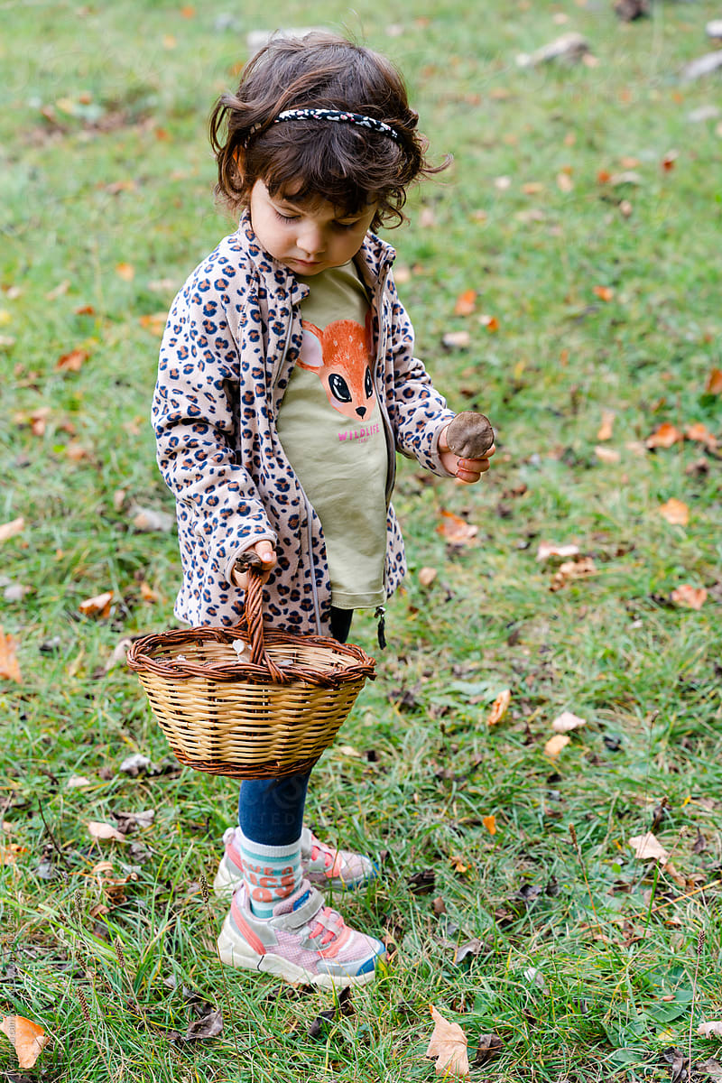 Kid in autumn picking mushrooms