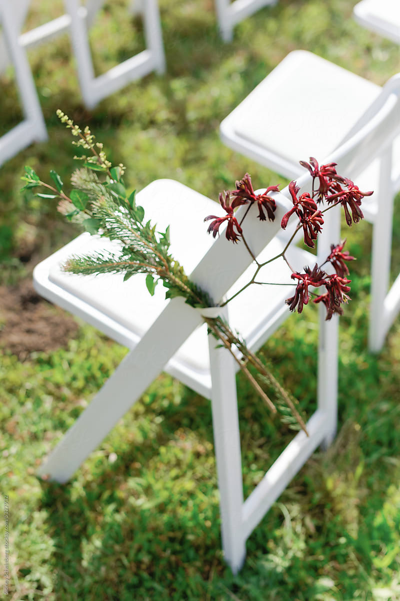 Chairs and Blooms