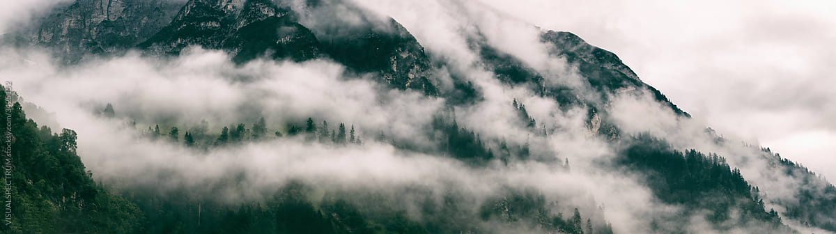 Fog in Alpine Valley
