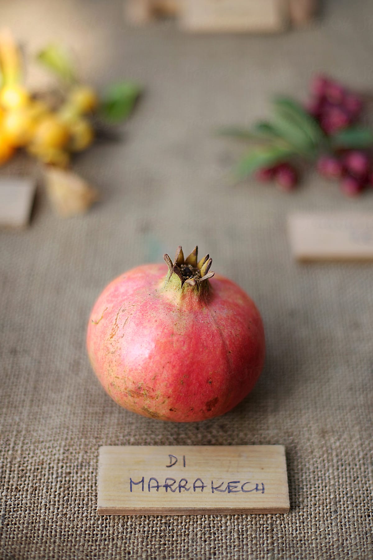 Marrakech pomegranate and wooden label spelling its name on table at rare fruits fair