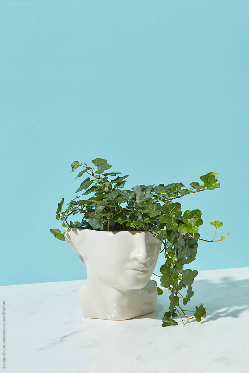 Potted plant in ceramic pot in shape of head
