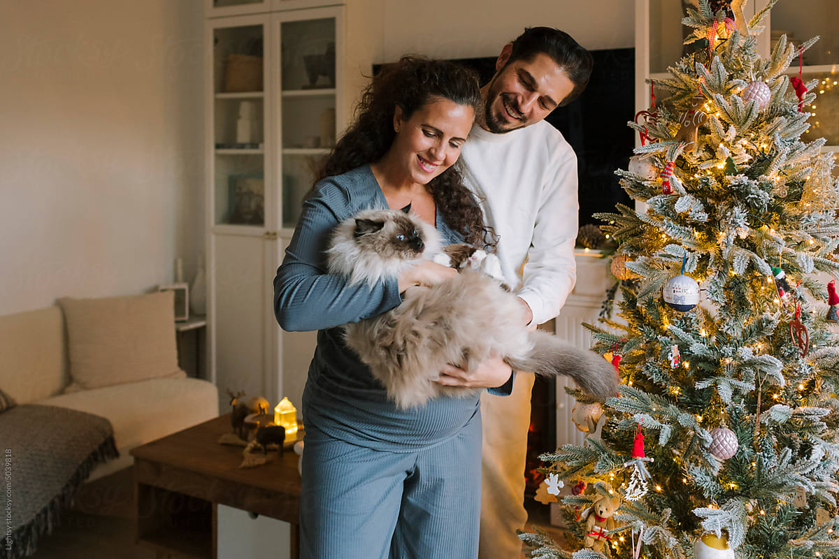 A couple and their cat beside the Christmas tree