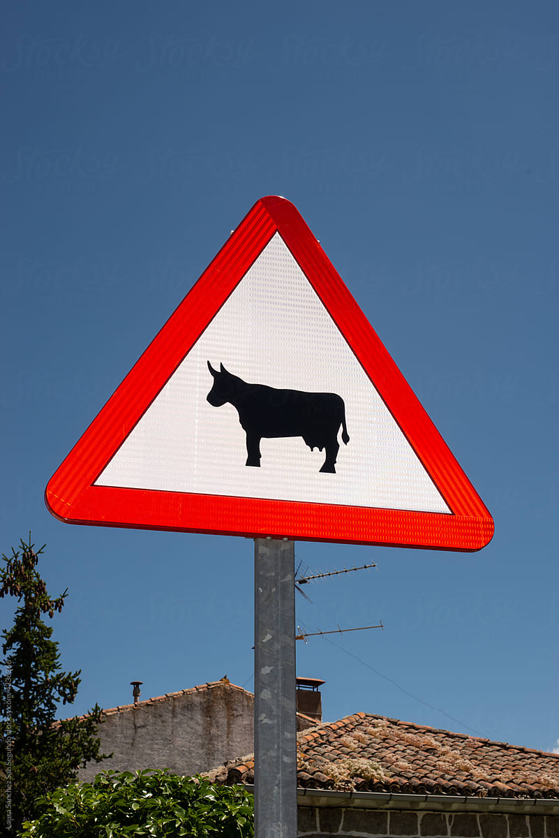 Cattle crossing traffic sign