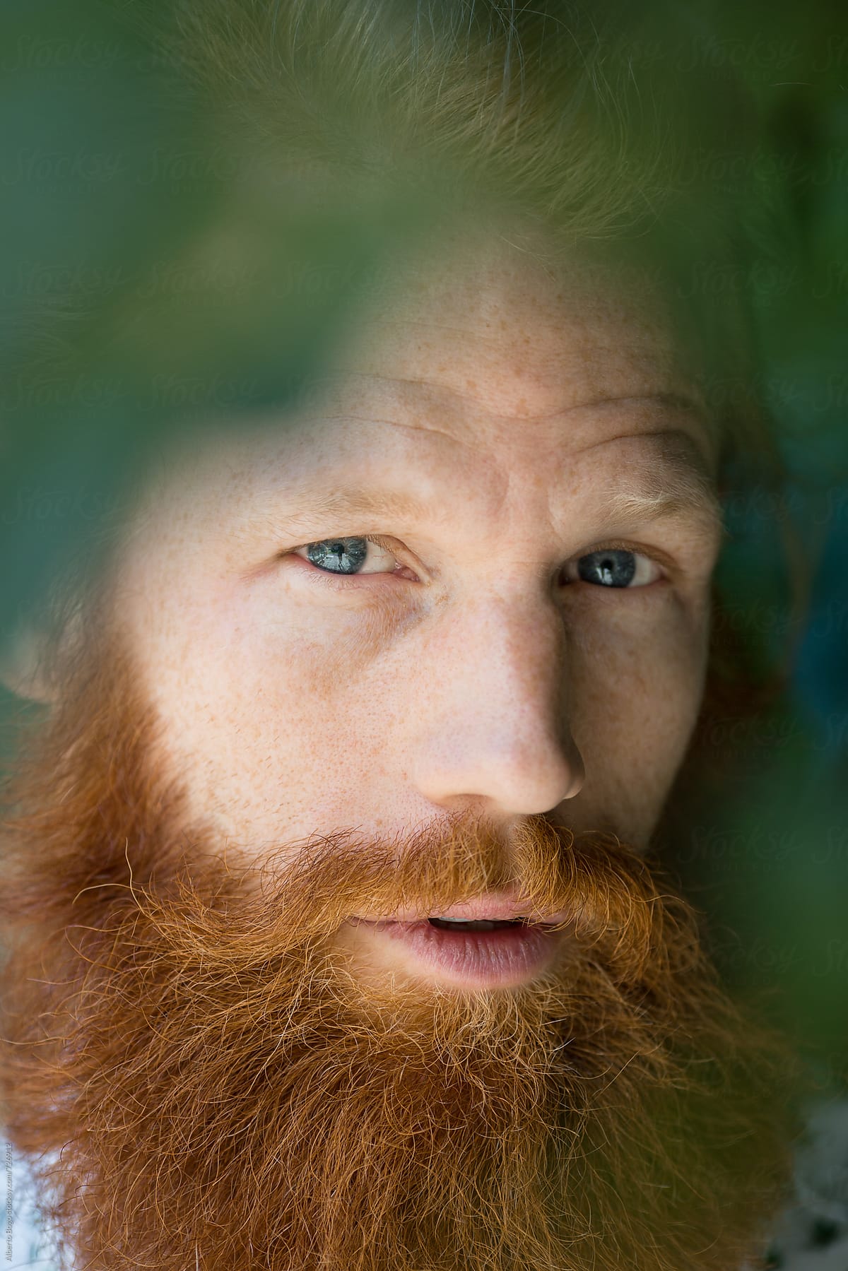 Portrait of Man with red beard