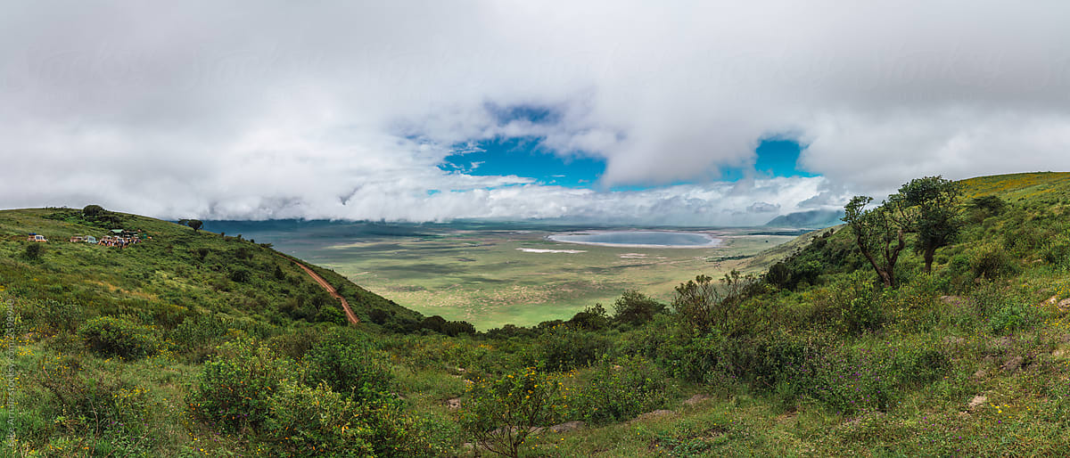 panoramic view of the savannahs.