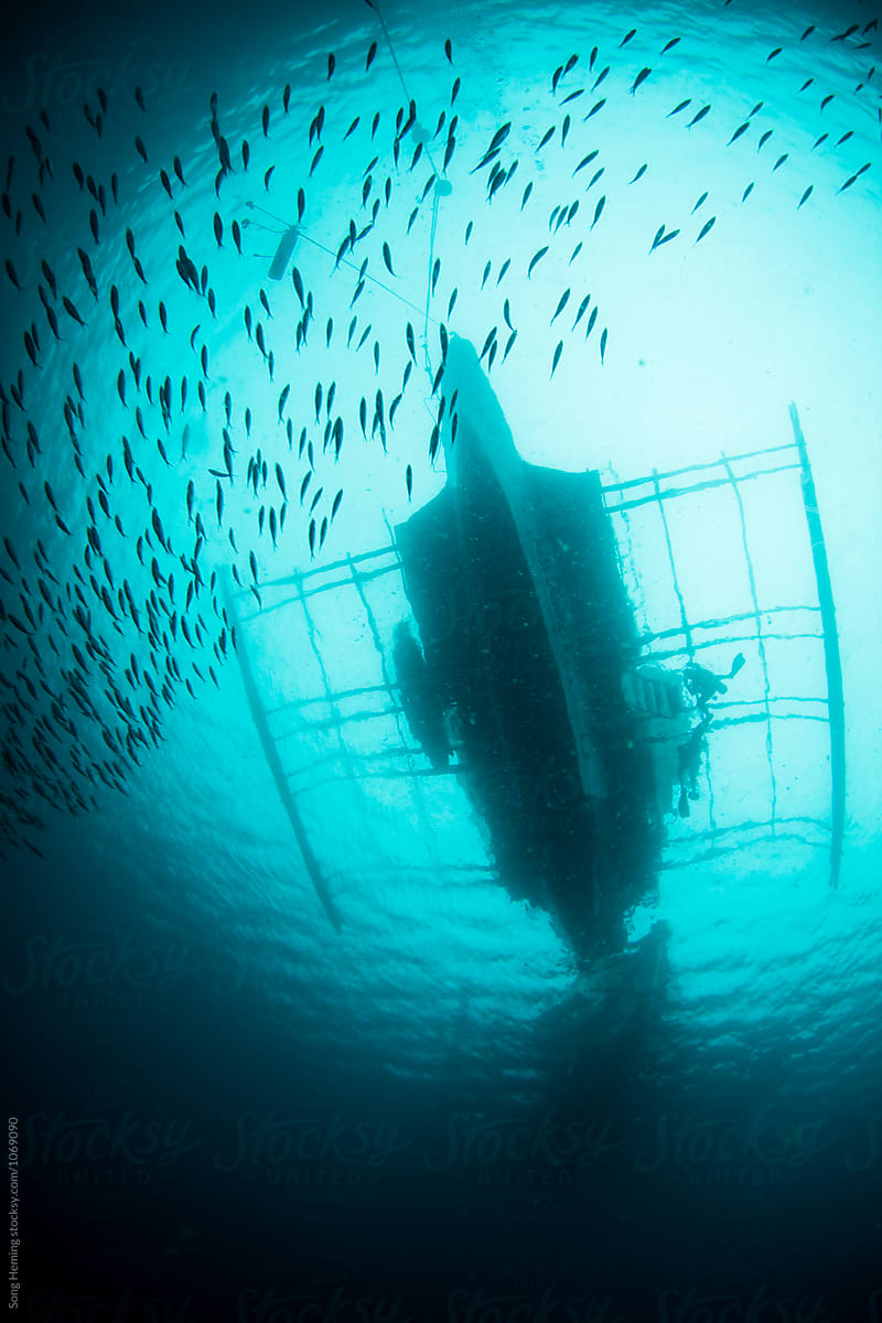 Diving under boat with school of fish