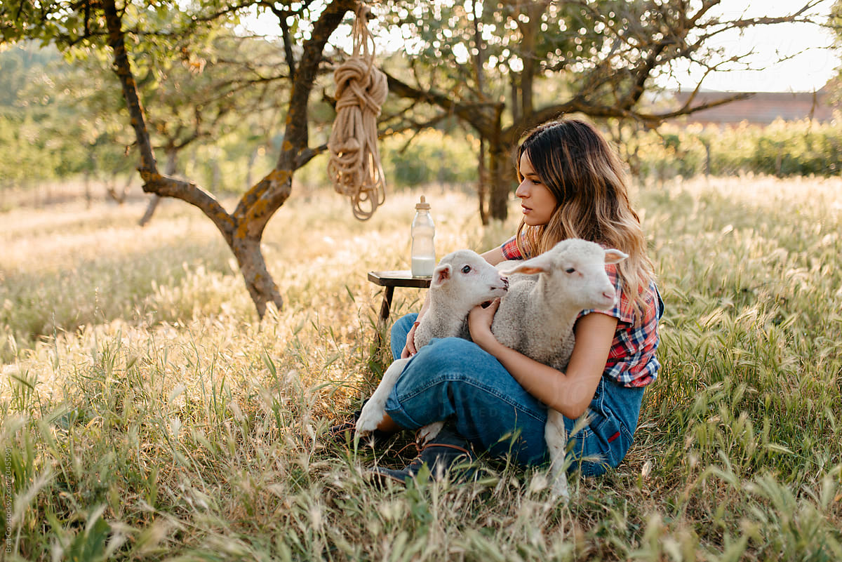 Farm girl cuddling with lambs