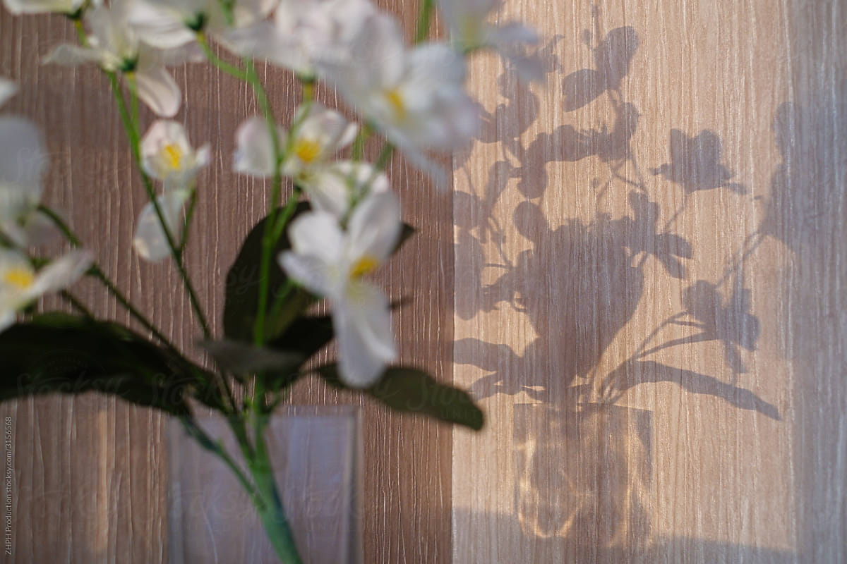 Flowers in vase shadow on the wall