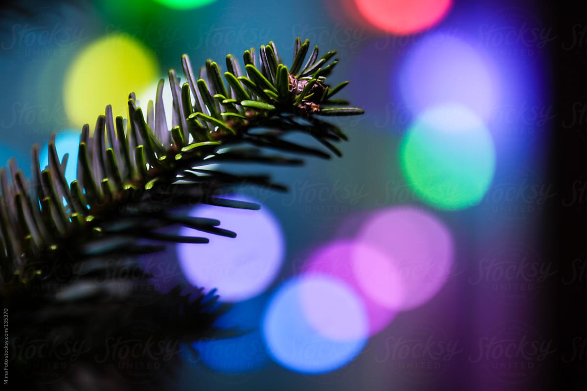 Christmas Tree Branch and color lighting