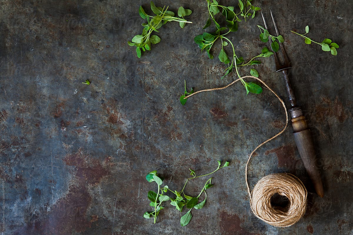 Background with fork, herbs and string with copy space