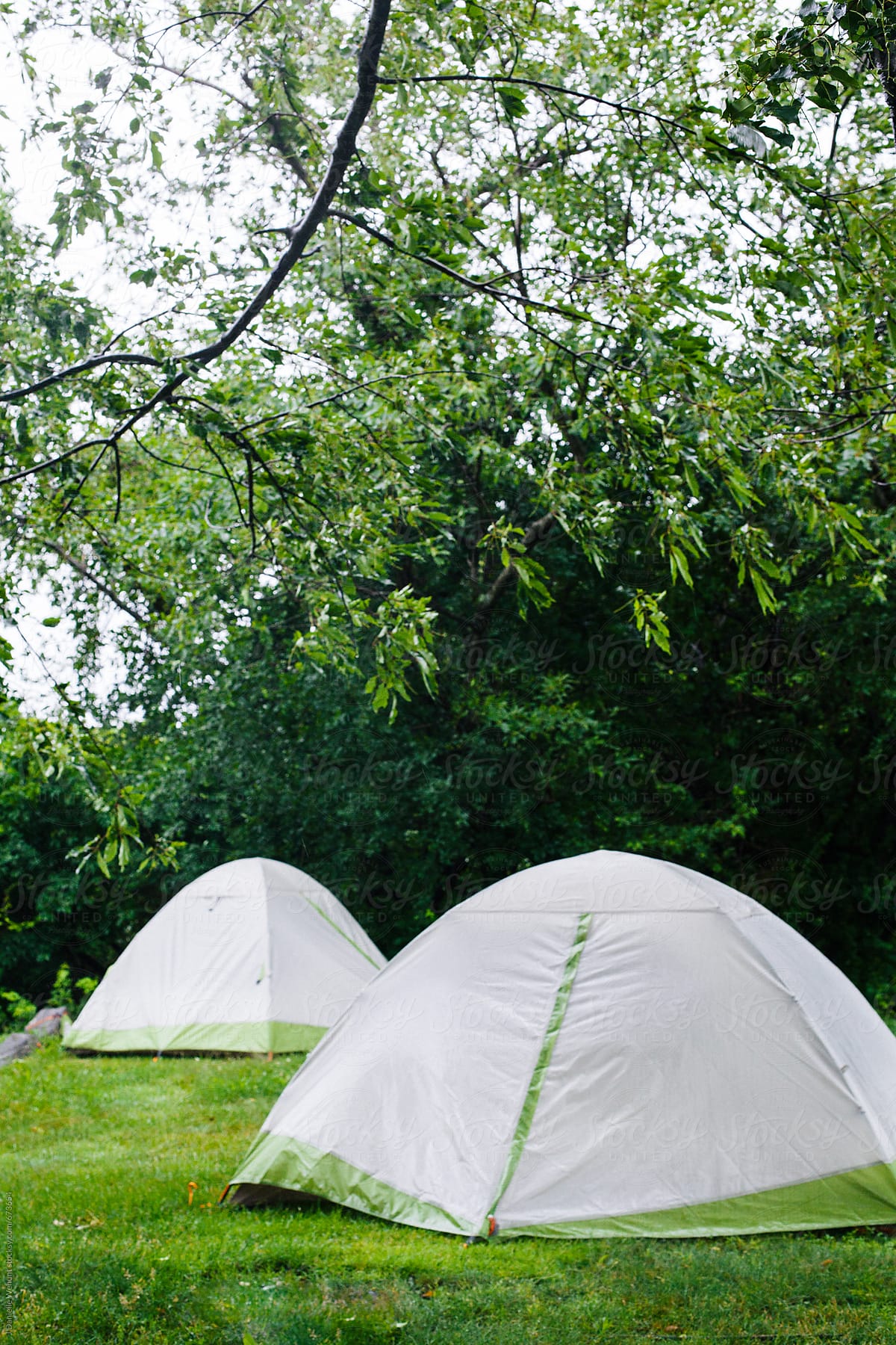 Tents in the rain at a camping ground.