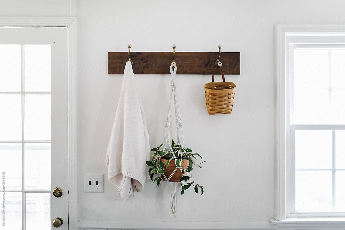 Simple White Entry Way  in Home