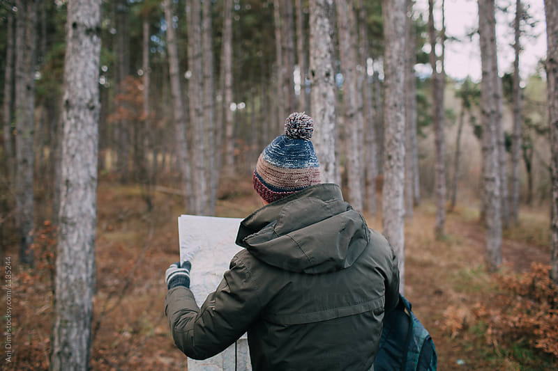 Man in forest reading a map