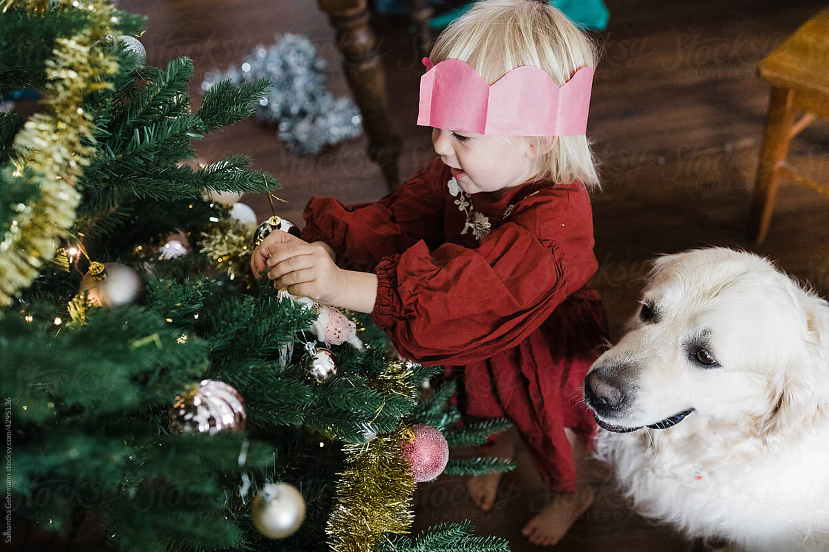 little girl decorating Christmas tree with dog