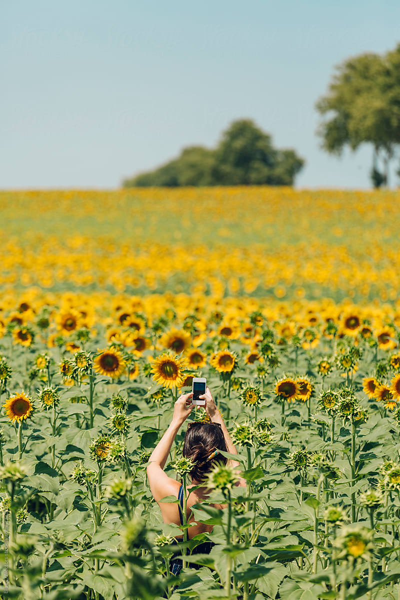 woman taking pictures in a sunflowers field