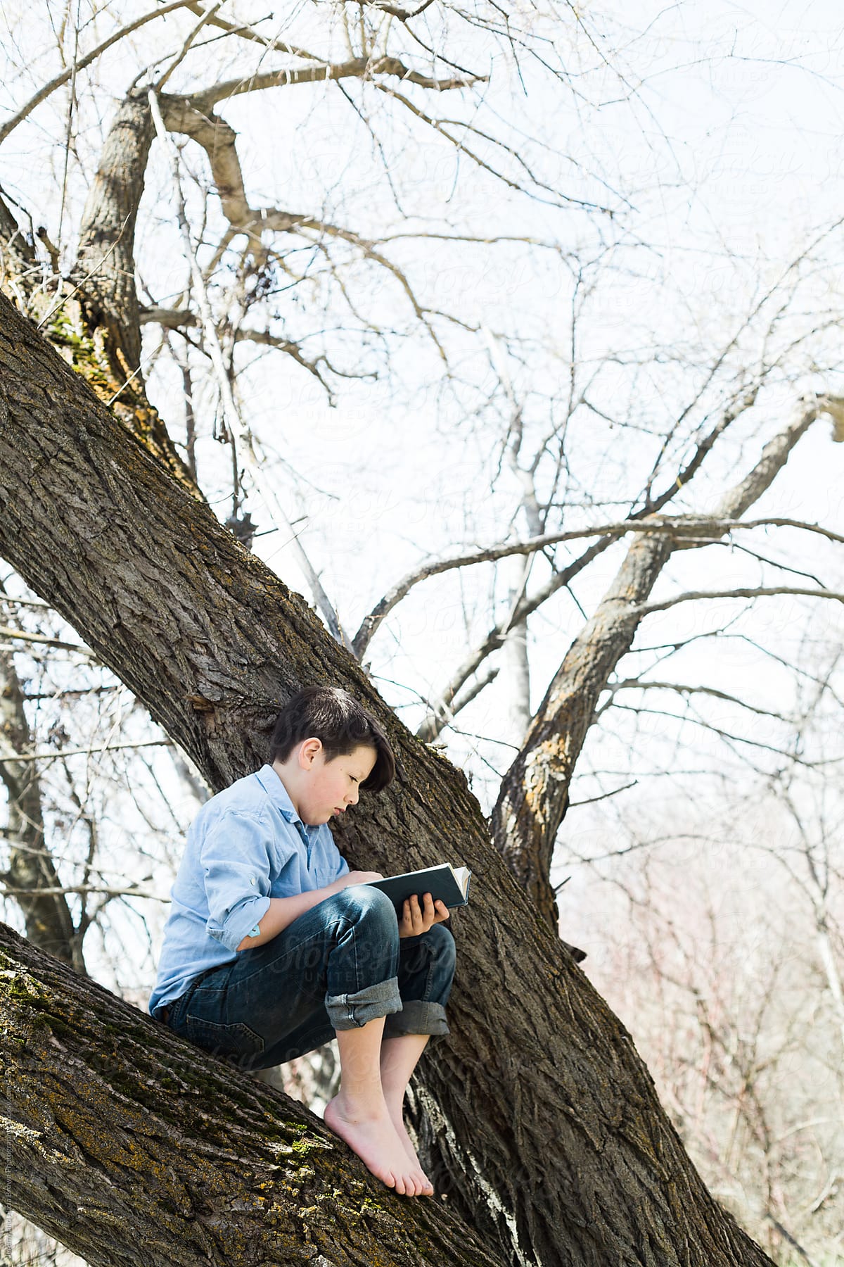 Reading in a tree