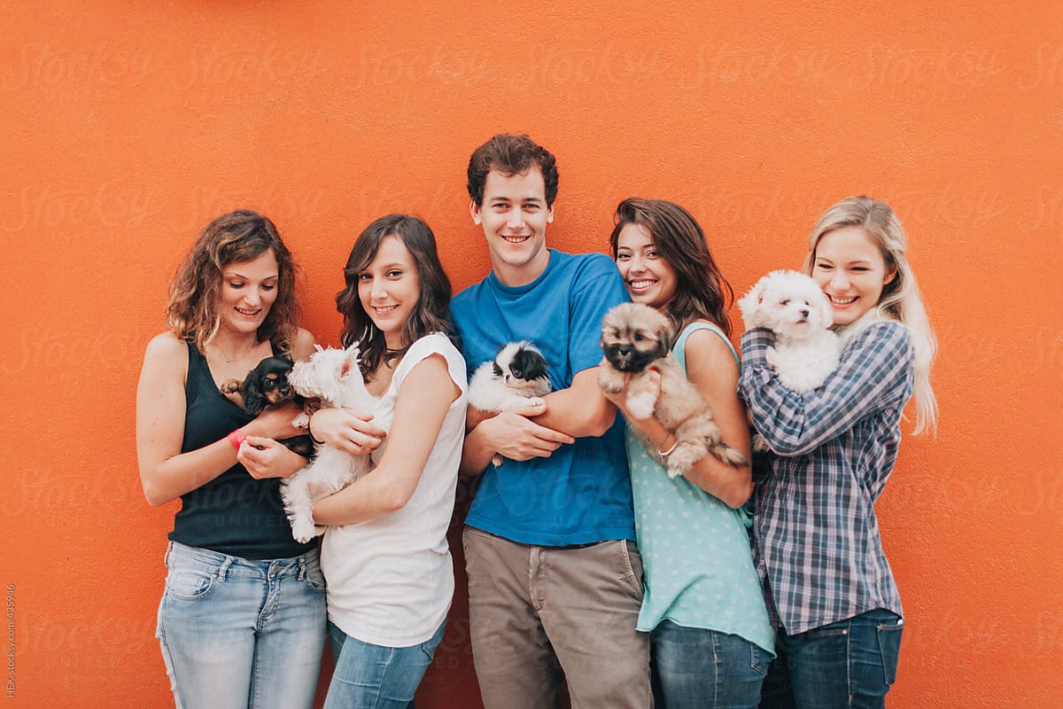 Group Of Friends Adopting Puppies . Orange Background
