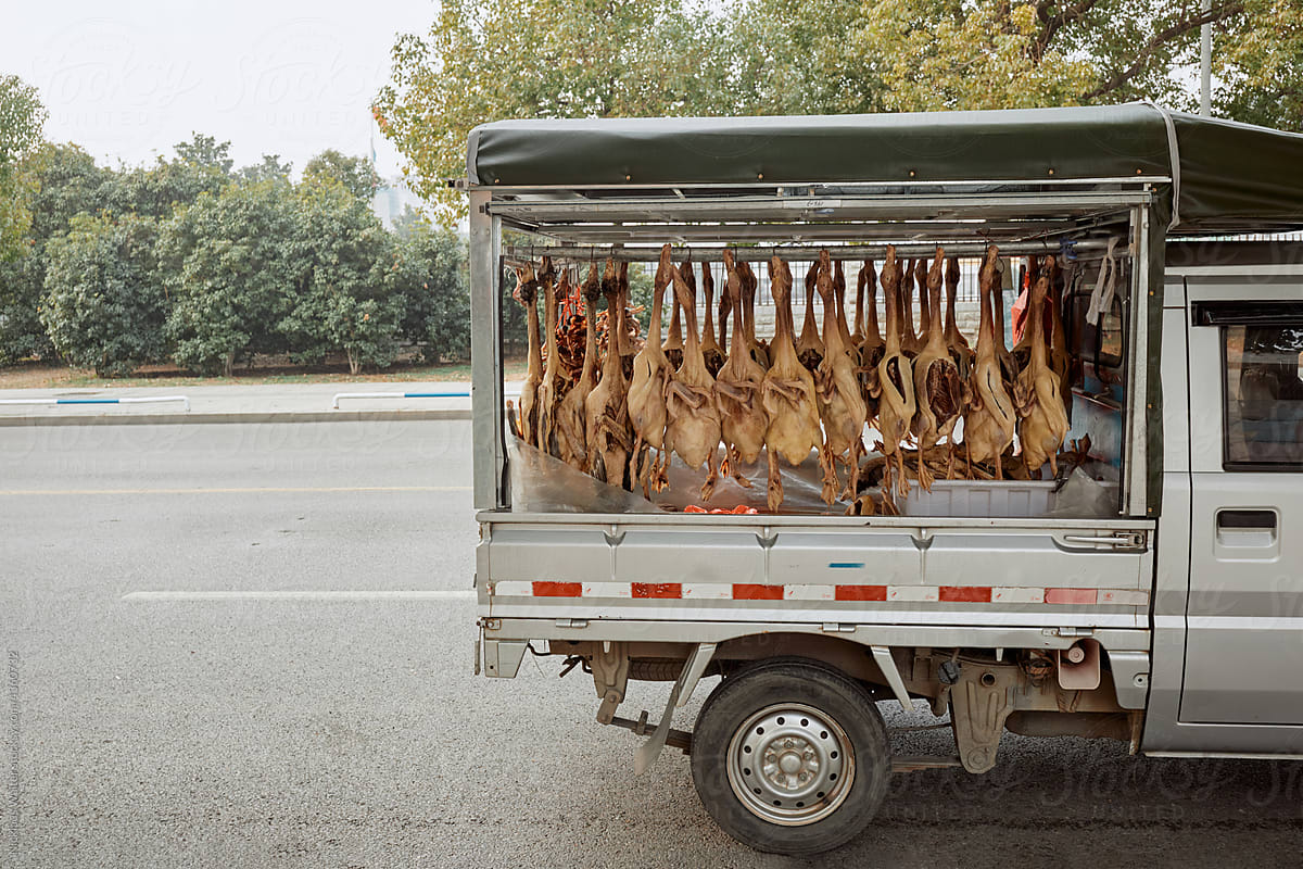 Slaughtered Ducks Hanging From A Truck