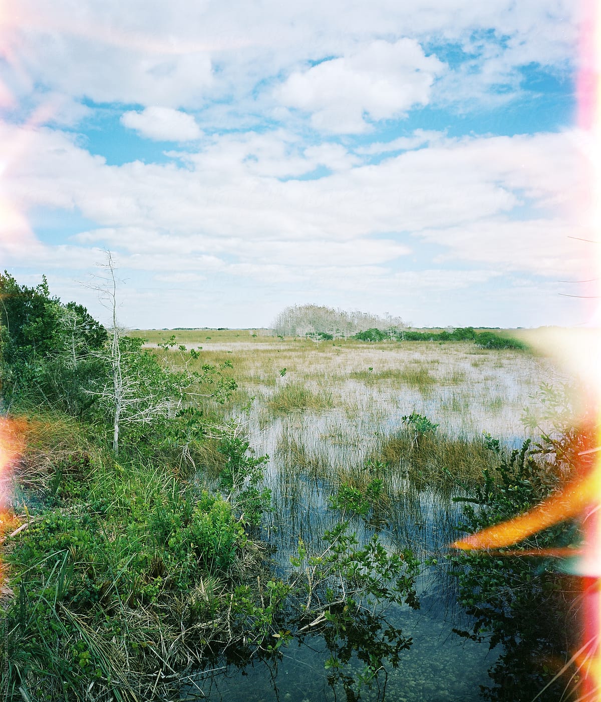 Climate change in the Florida Everglades