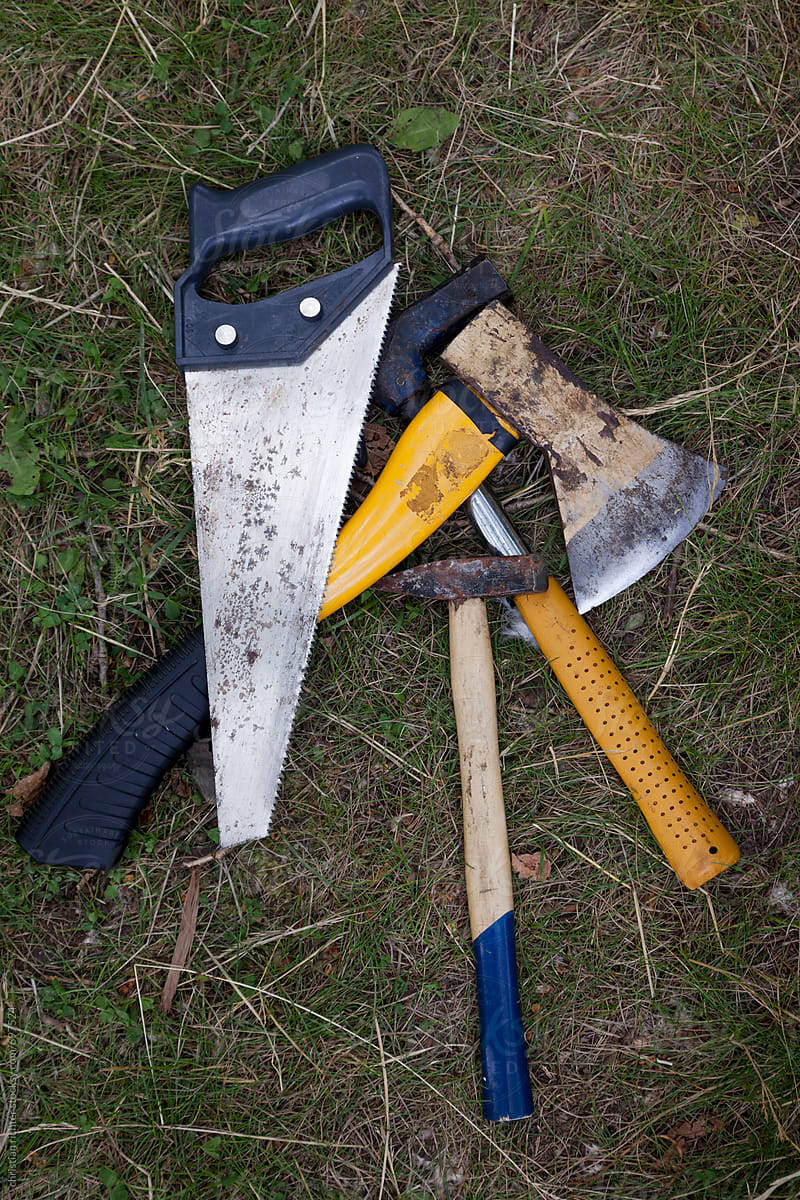 tools on meadow