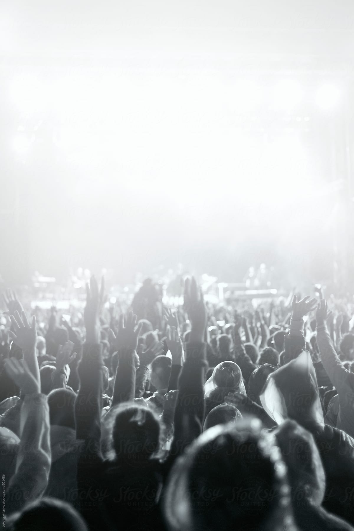 Audience in Music Festival