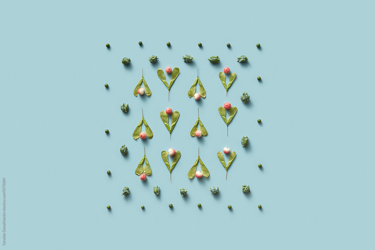 Neatly arranged square of maple seeds, buds and paradise apples