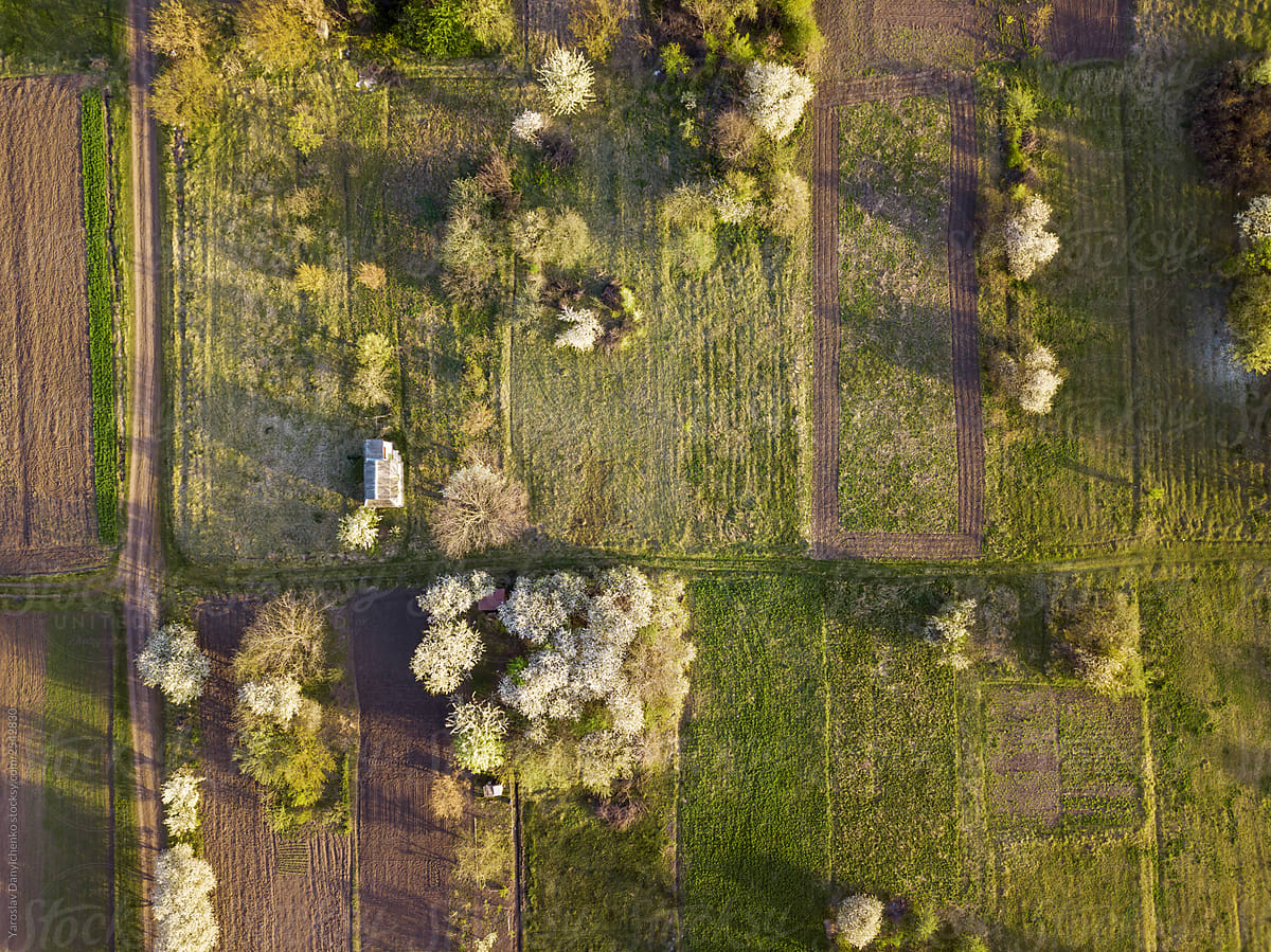 Aerial view from the drone of rustic plowed fields with road and trees.