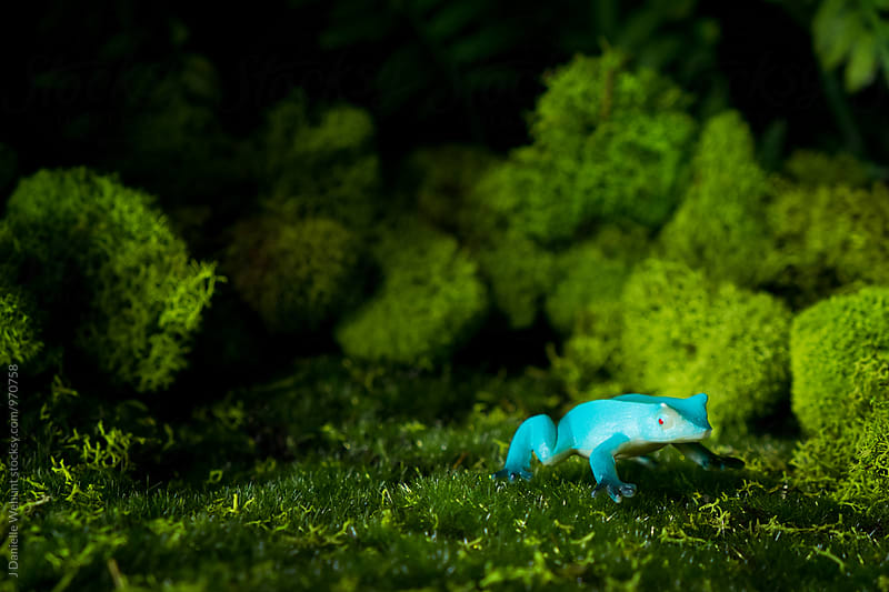 A blue frog in the grass and moss