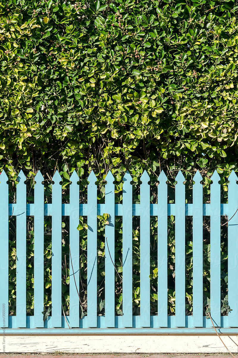 Blue fence