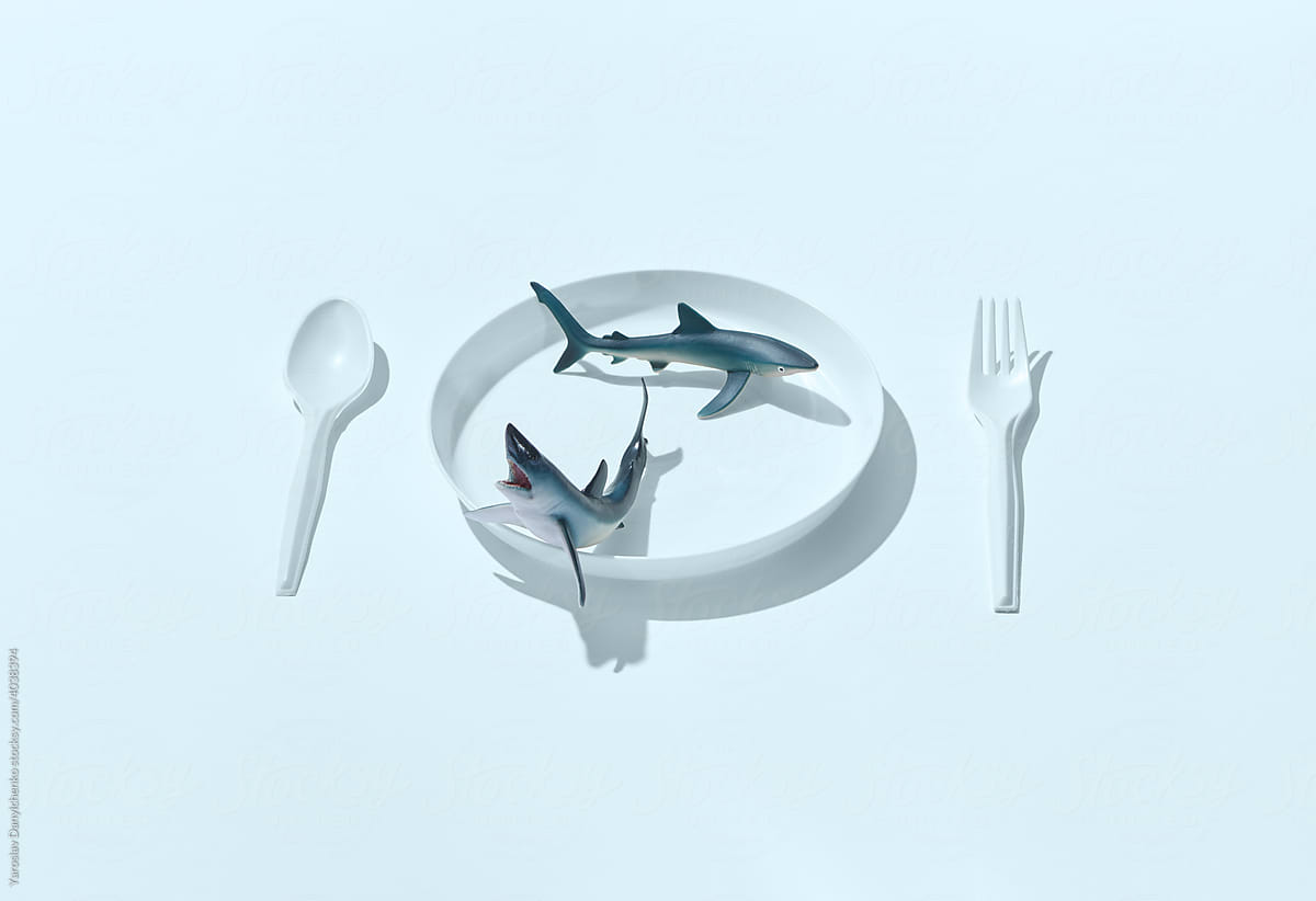 Two sharks on plate