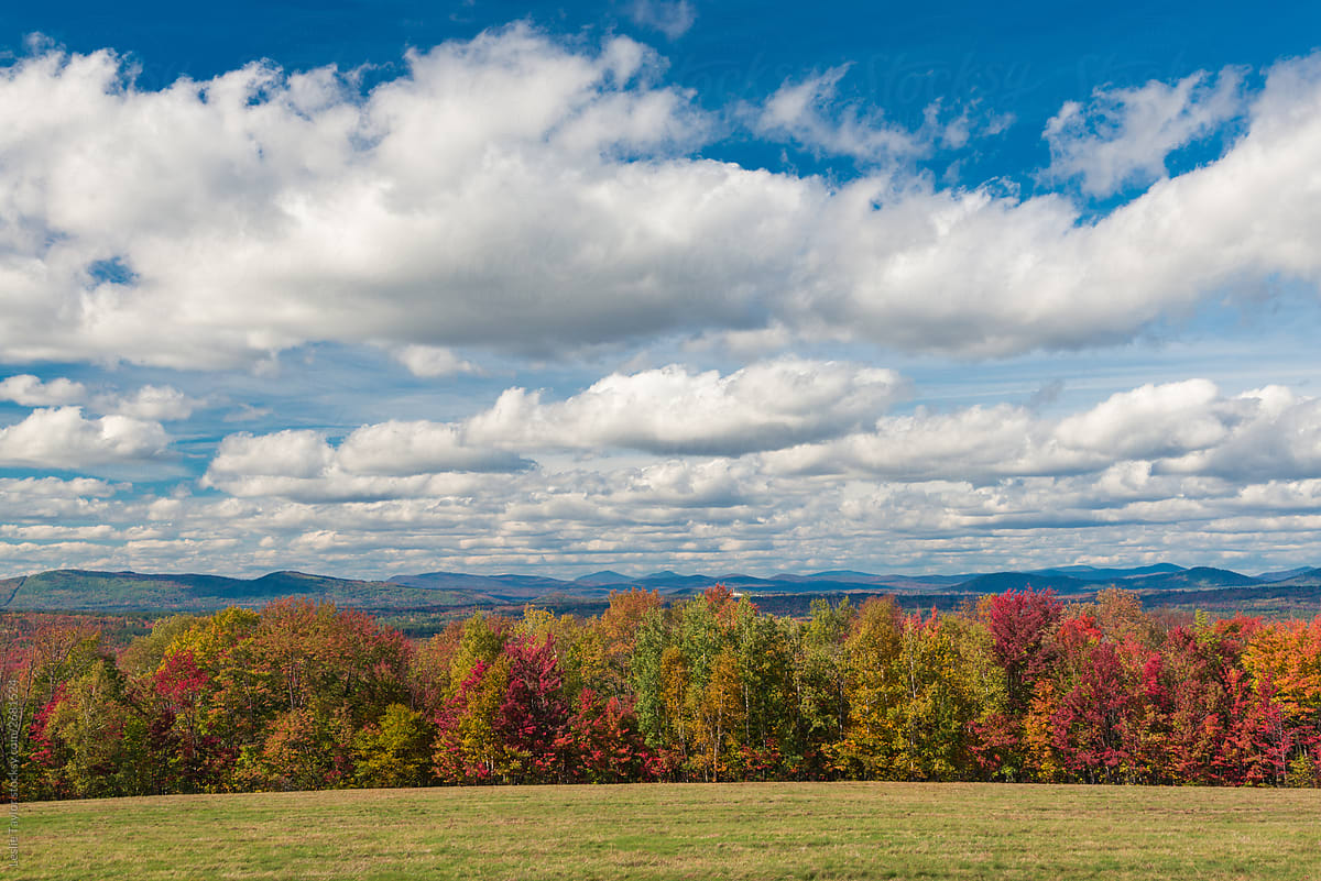 Blue Autumn Skies In The White Mts