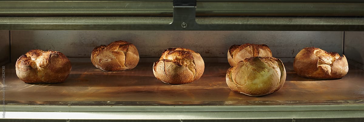 Panoramic view of fresh baked loaves of bread in oven