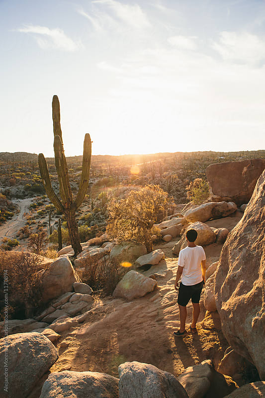 Young man looking at desert landscape with cactus at sunset