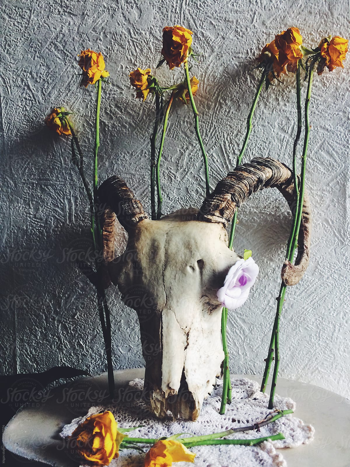 Rams skull with dried roses on top of a male manikin