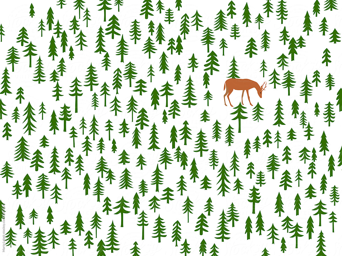 Deer in woods