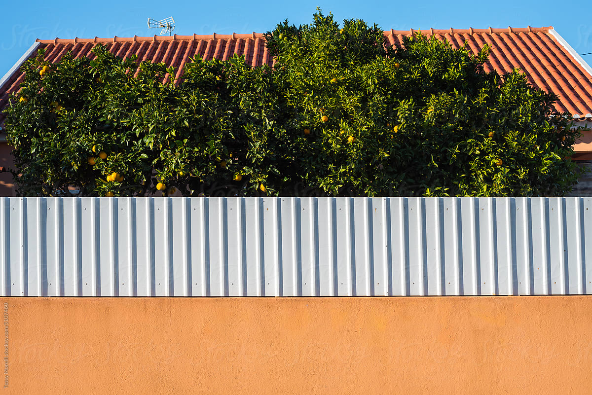 Abstract colour block street with orange tree