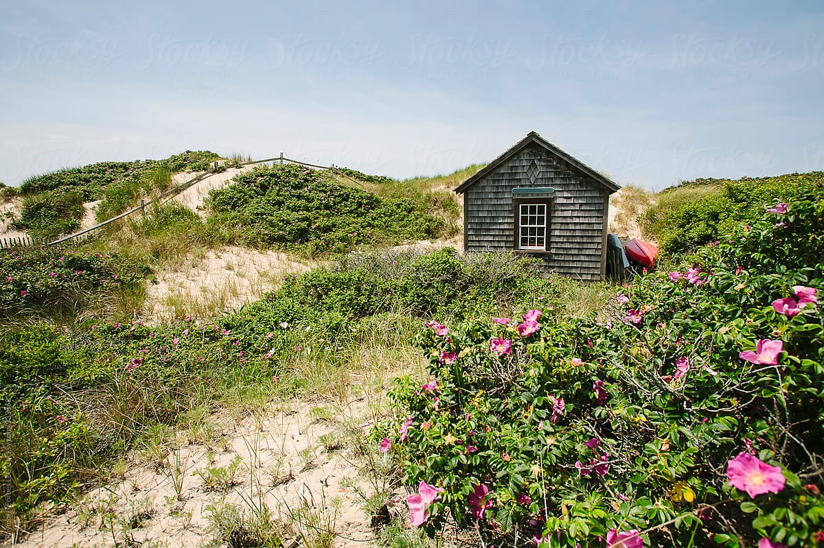 Beach Cottage in Dunes on Nantucket Island