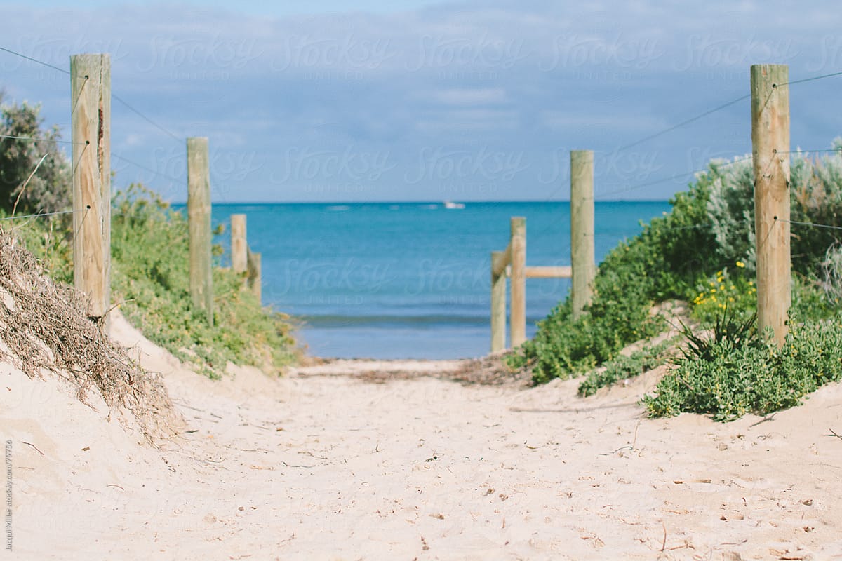 A Path To The Sea By Stocksy Contributor Jacqui Miller Stocksy 1703