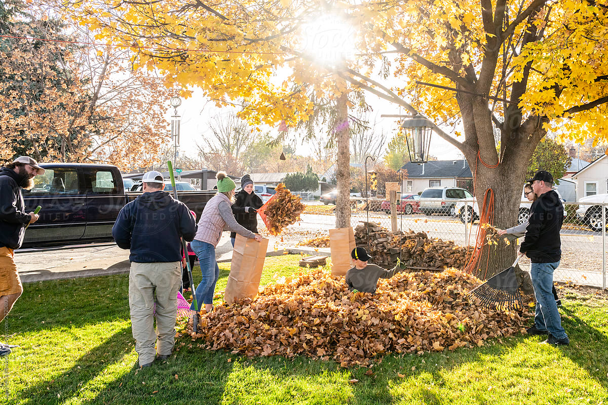 Community volunteers raking autumn leaves