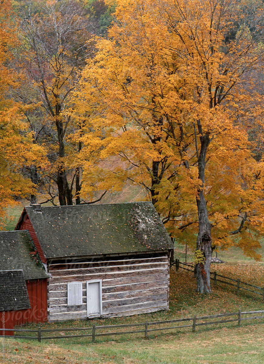 pioneer settler cabin from 1800's in backcountry of Indiana autumn foliage