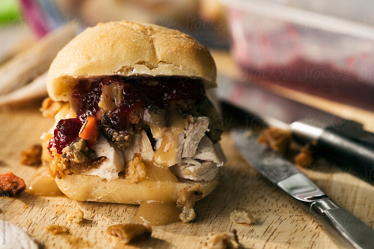 Thanksgiving Leftovers Delicious Turkey Sandwich