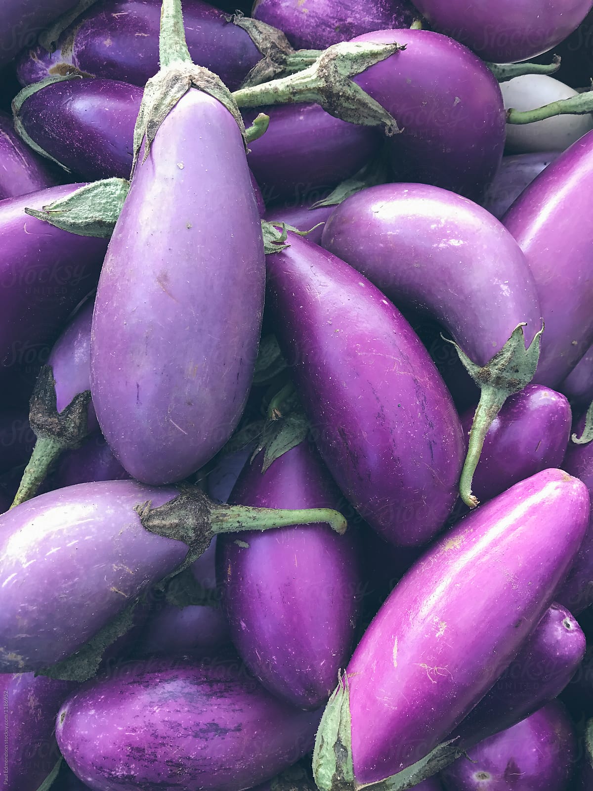 Organic eggplants for sale at farmers market