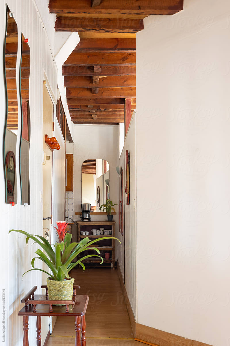 Home deco of cozy hallway featuring plant, mirrors and coffee maker