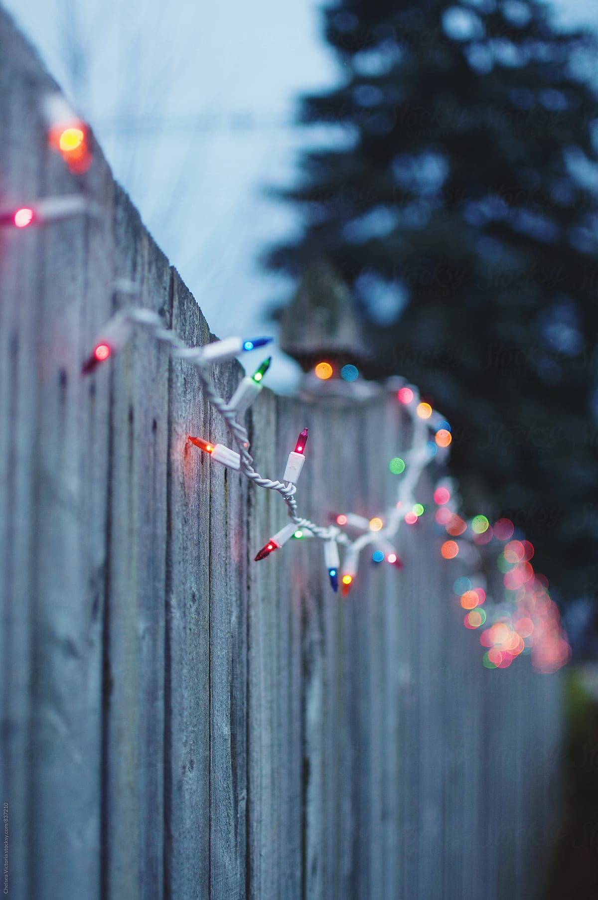 Twinkle lights hanging from a fence