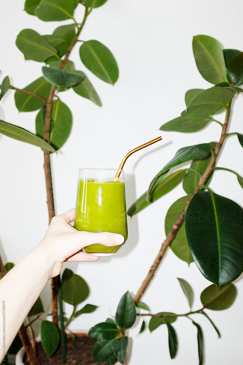 Green healthy smoothie/juice and houseplants with hard direct flash