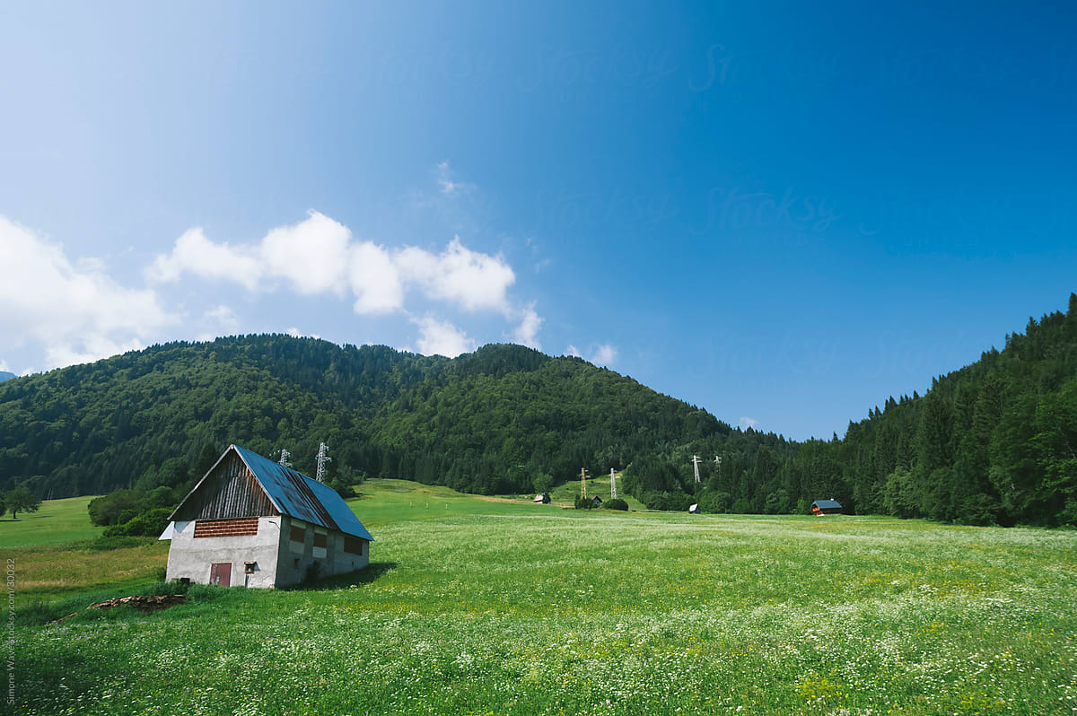 Hut in a green field during summer - Italian Alps