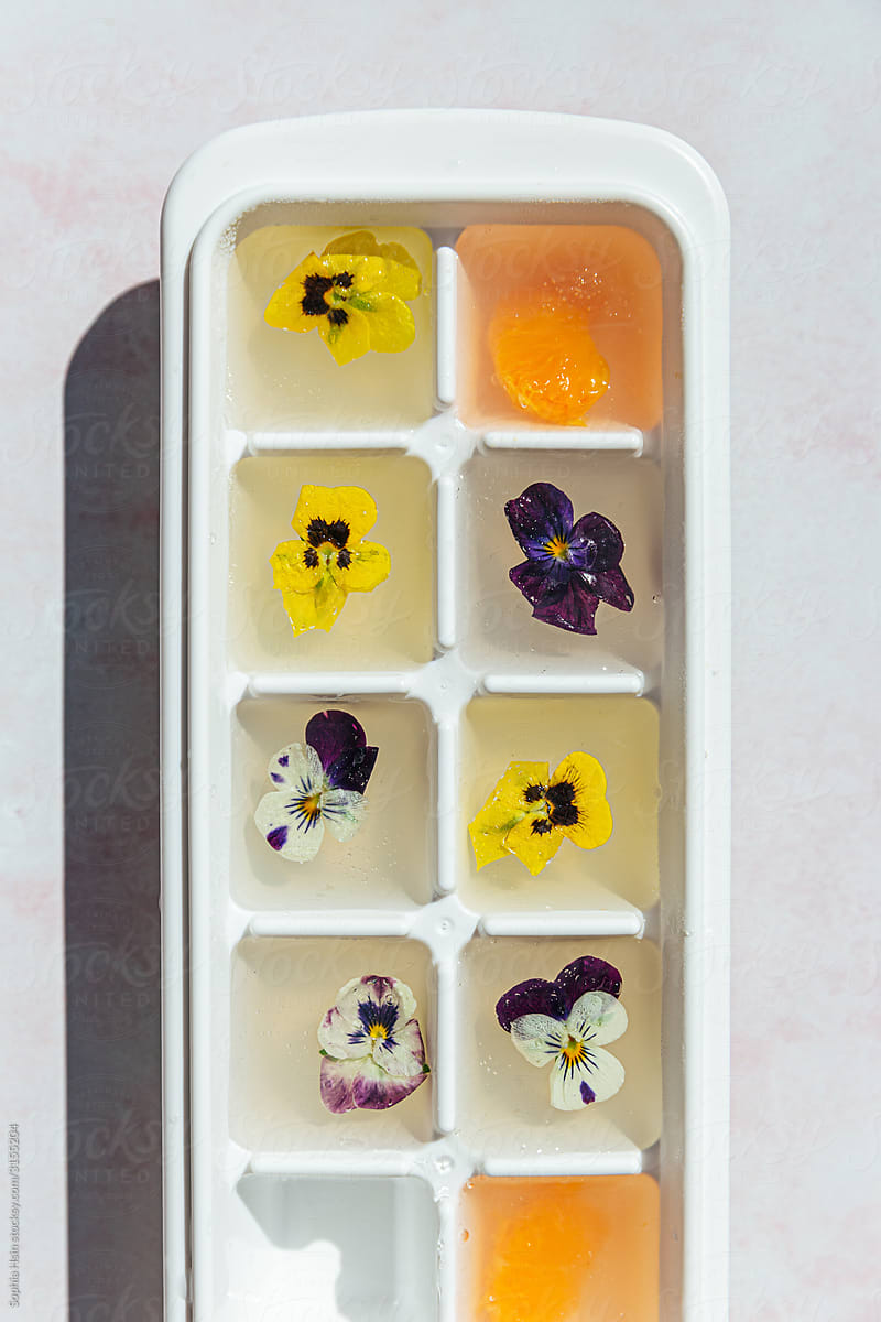 Japanese jellies with edible flowers in ice cube tray
