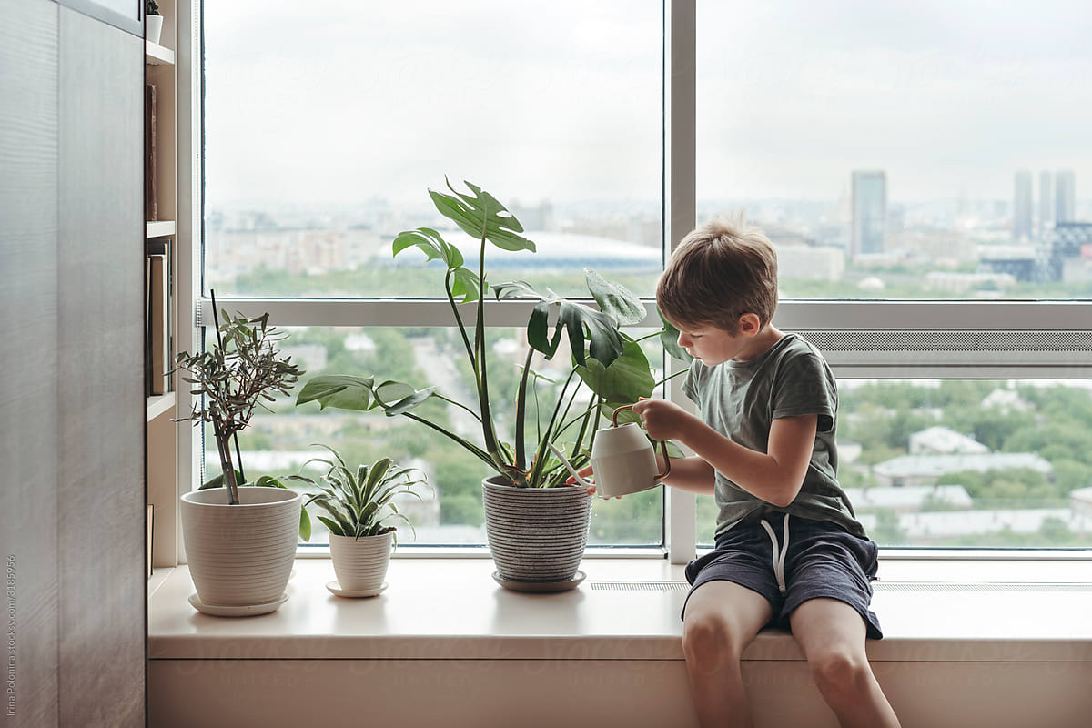 A young boy takes care of home plants.
